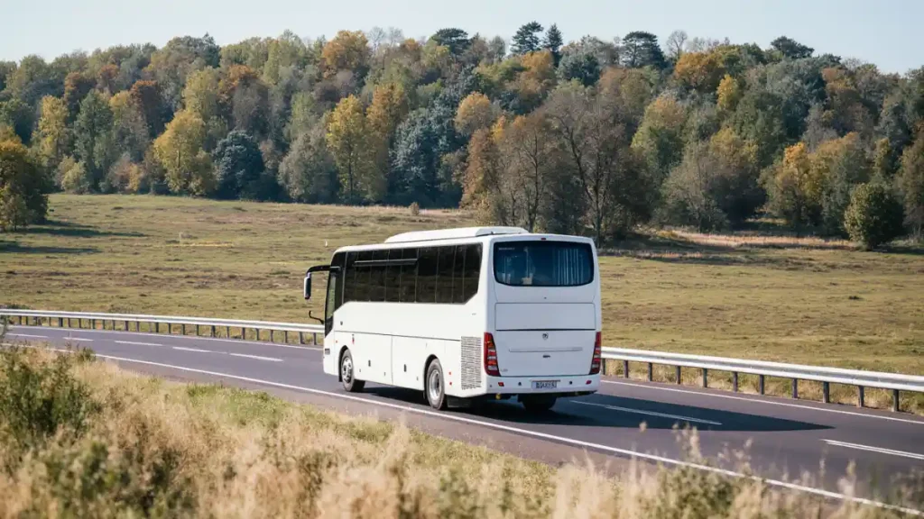 European bus tours